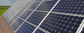 Green Light for Czech Agrivoltaics